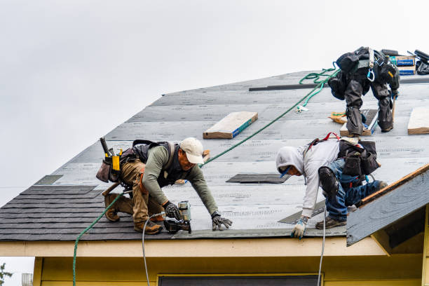 Professional Gutter Installation technician working in Spring Grove, IL